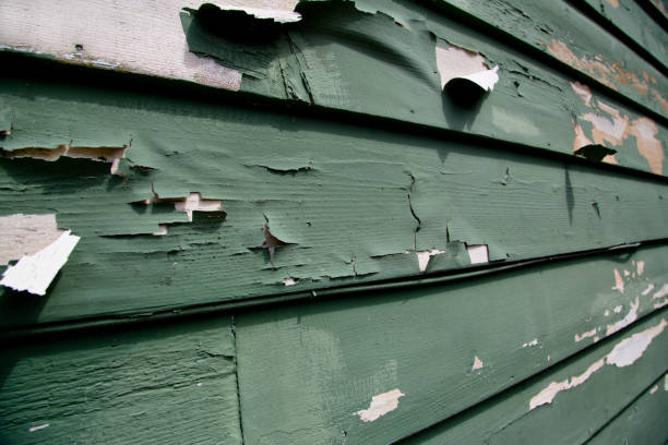 Best Siding Painting and Refinishing  in Pine Hill, NJ