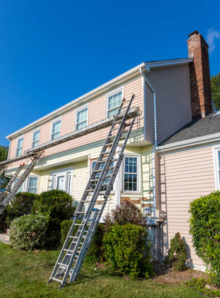 Best Stucco Siding  in Pine Hill, NJ