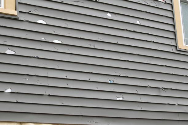 Best Aluminum Siding Installation  in Pine Hill, NJ