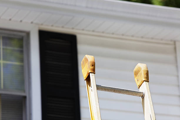 Best Siding Removal and Disposal  in Pine Hill, NJ