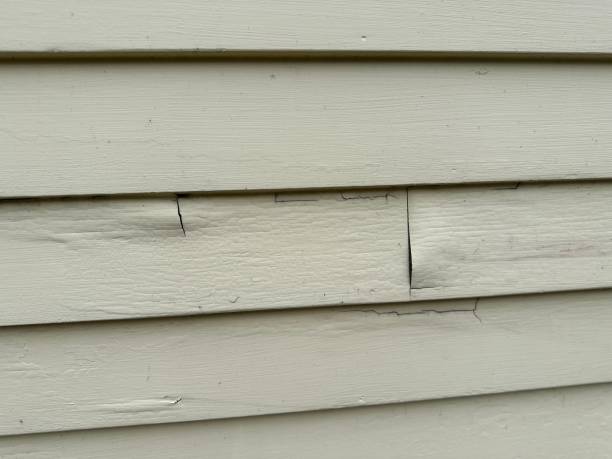 Best Composite Siding  in Pine Hill, NJ