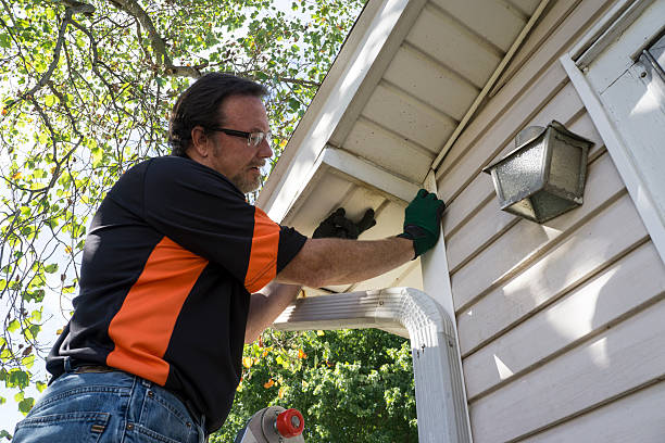 Best Storm Damage Siding Repair  in Pine Hill, NJ